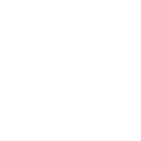 World Globe